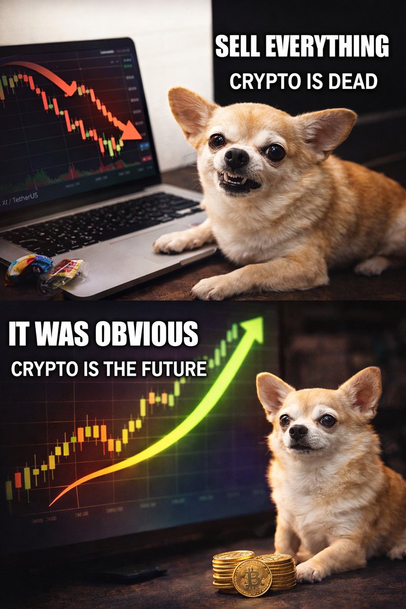 Chapa Coin tweet media