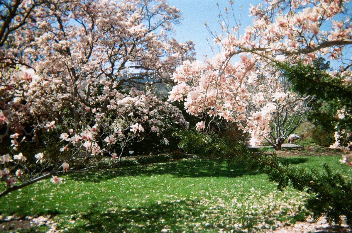 JonesArte tweet media