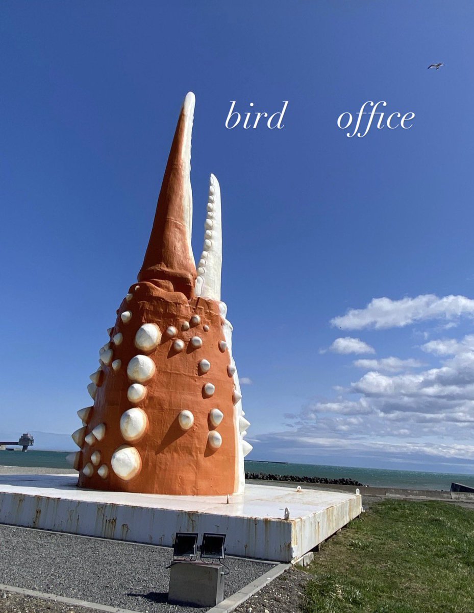 BIG BIRD 77 tweet media