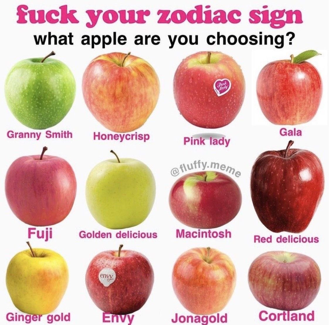 fat finn tweet media