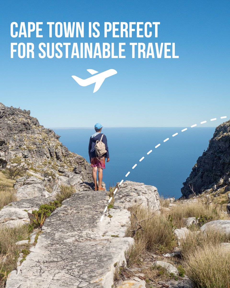 Cape Town Big 6 tweet media