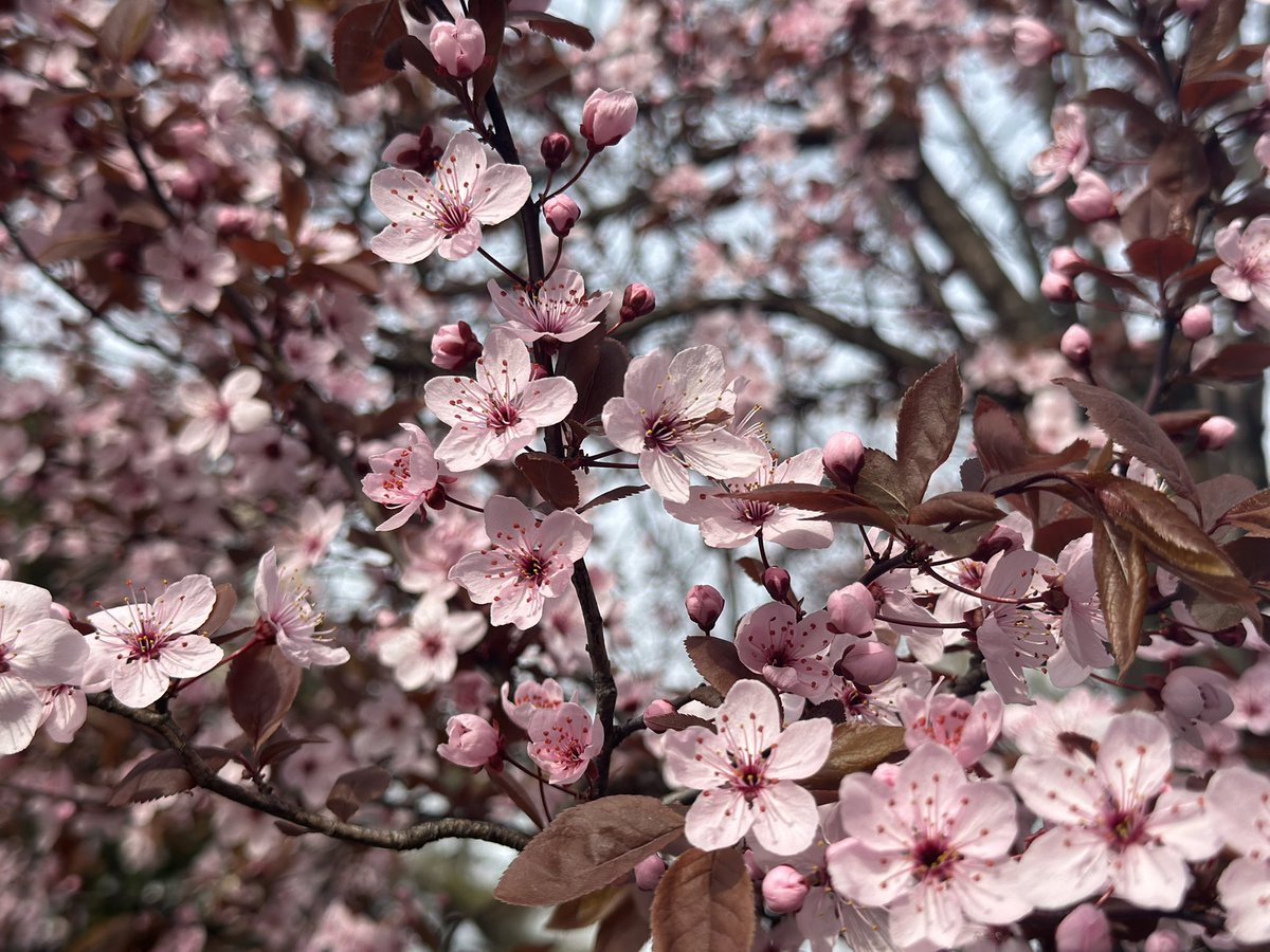 rei maybe tweet media