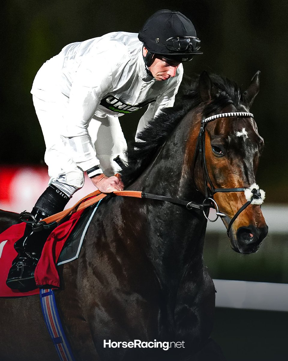 HorseRacing_Net's tweet photo. Constitution Hill is some MONSTER! 🤩

I just want him to race forever... https://t.co/LSLcu20j5K