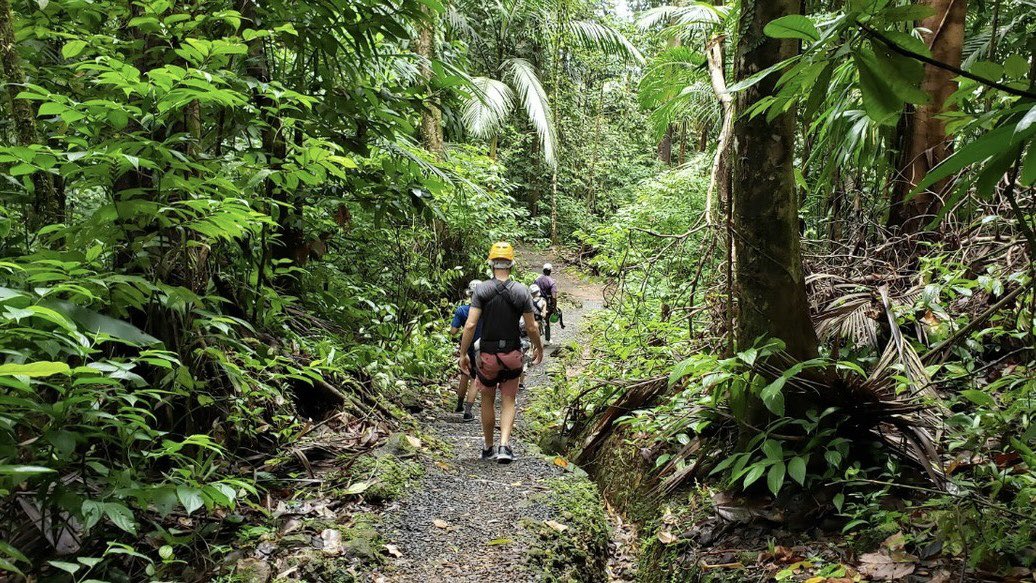 Faisal ses tweet media