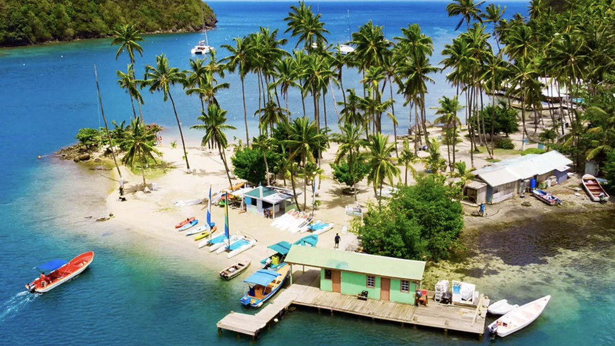 Faisal ses tweet media