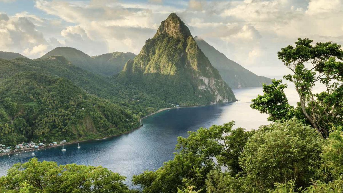 Faisal ses tweet media