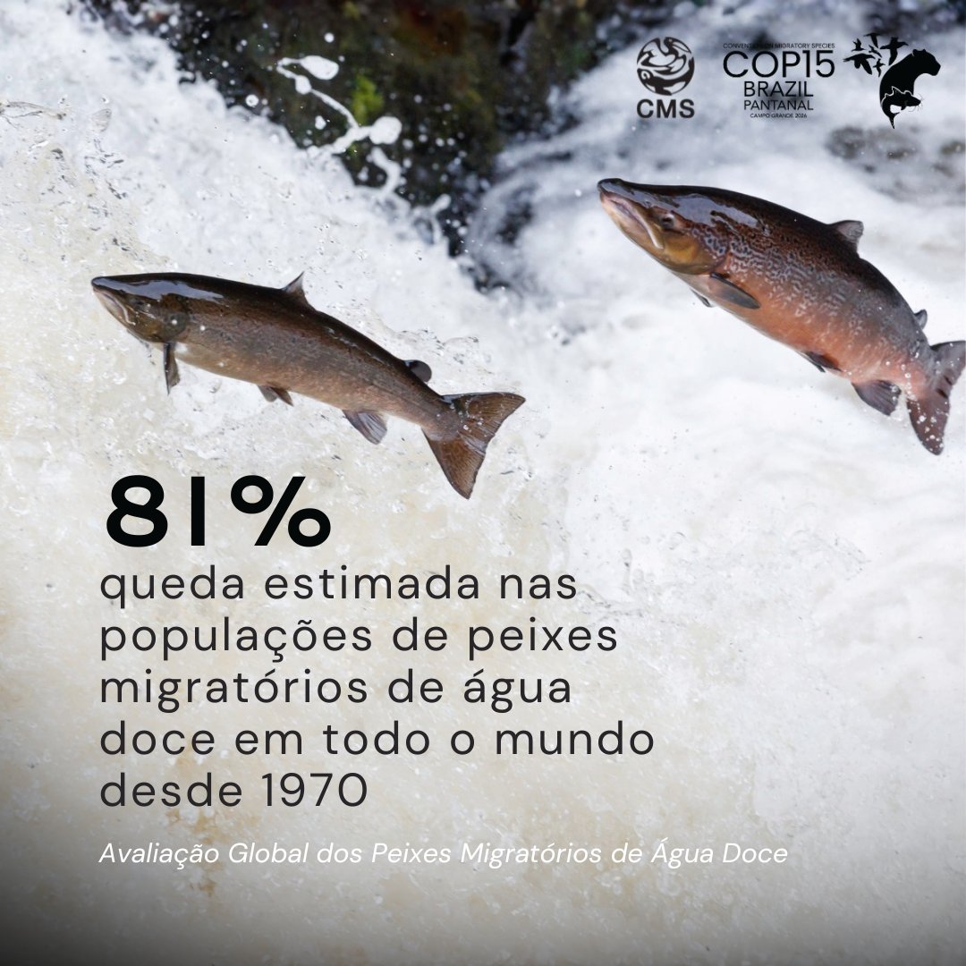 Programa da ONU para o Meio Ambiente tweet media