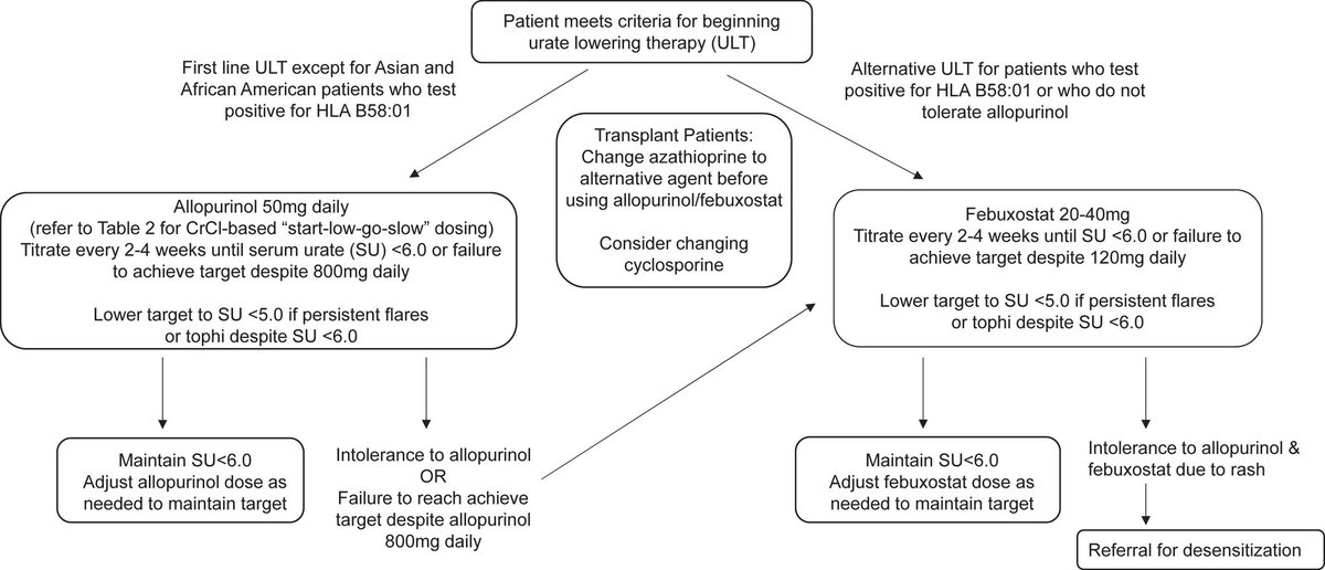 Sayed S Rahman tweet media