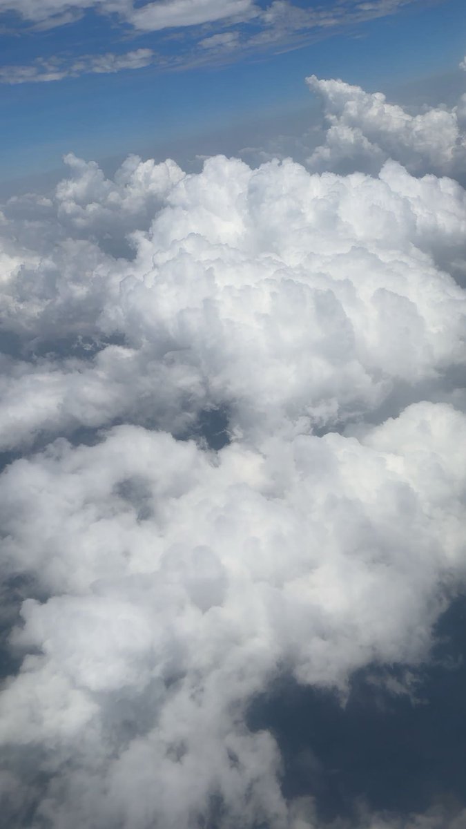 Johnson 44DB. tweet media