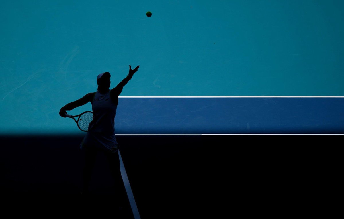 rybakina gallery tweet media