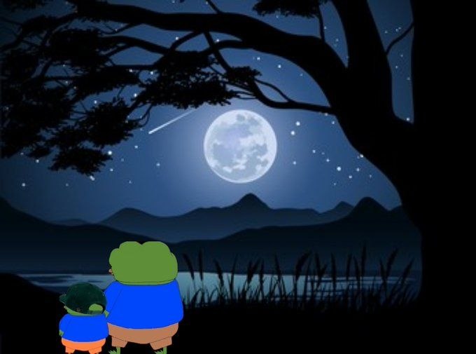 DerEnte 🍍🛡️ tweet media