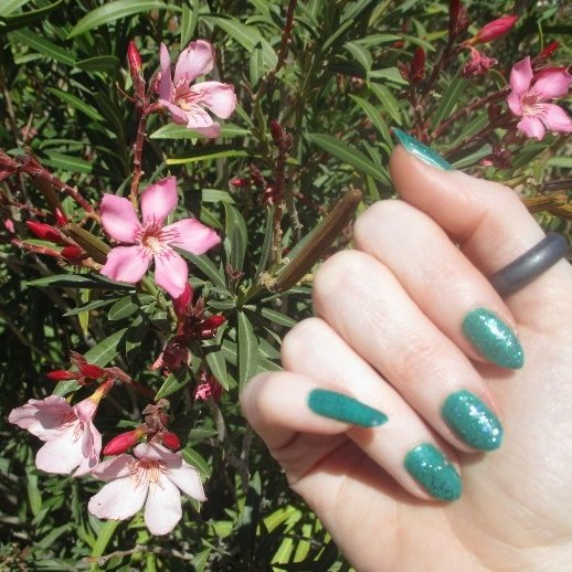 Shelly Shellaqua tweet media