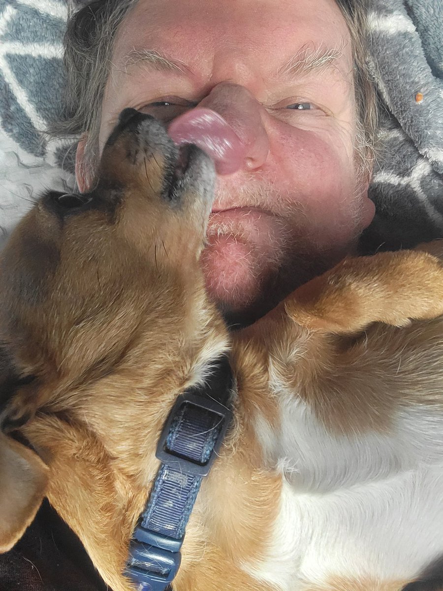 Central Scrutinizer tweet media