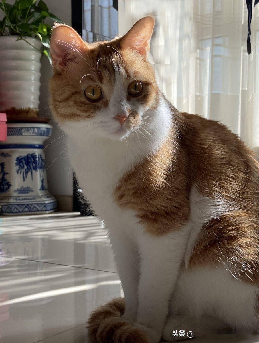 Husain abdulredha tweet media