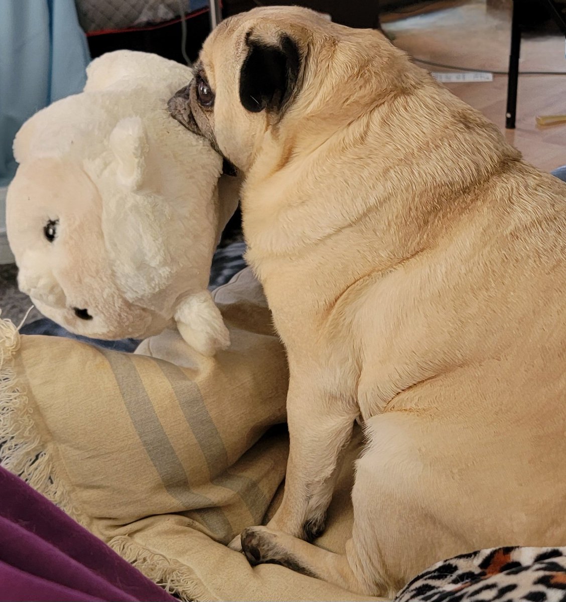 💗ANGELSARAH💗 S&O🍊 tweet media