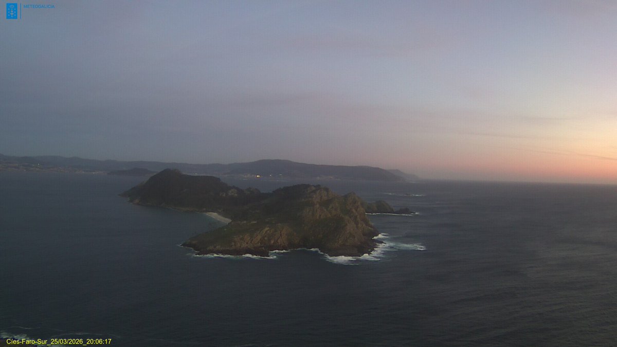 Torallamar tweet media