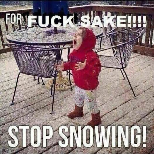 Lori Bauer🇨🇦🏒🥅🔥 tweet media