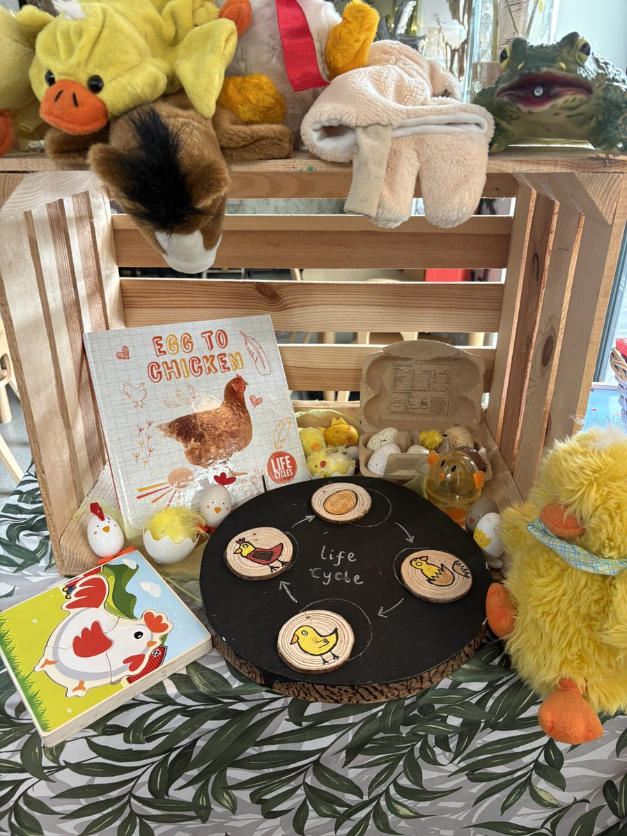 MrsGriffiths7's tweet image. Egg to chicken! This week we are learning about the chicken life cycle 🐣🐥🐔🐓🥚 #eyfs #chick #soring #egg #lifecycle