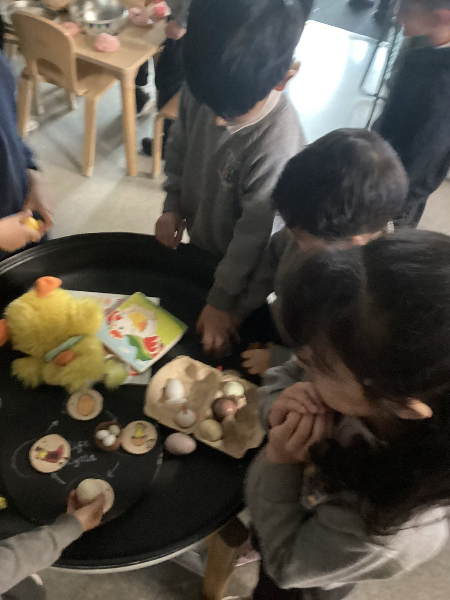 MrsGriffiths7's tweet image. Egg to chicken! This week we are learning about the chicken life cycle 🐣🐥🐔🐓🥚 #eyfs #chick #soring #egg #lifecycle