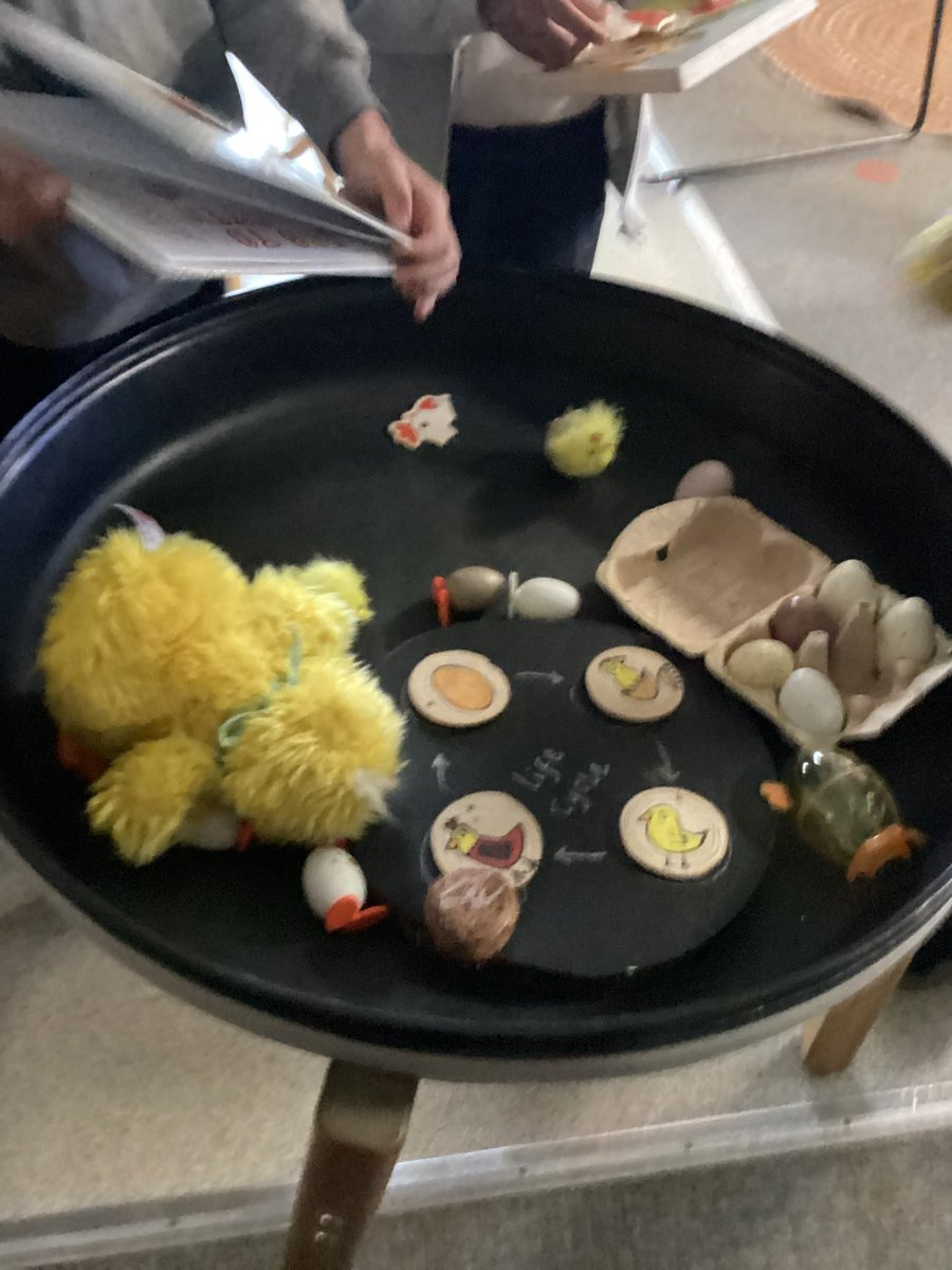 MrsGriffiths7's tweet image. Egg to chicken! This week we are learning about the chicken life cycle 🐣🐥🐔🐓🥚 #eyfs #chick #soring #egg #lifecycle