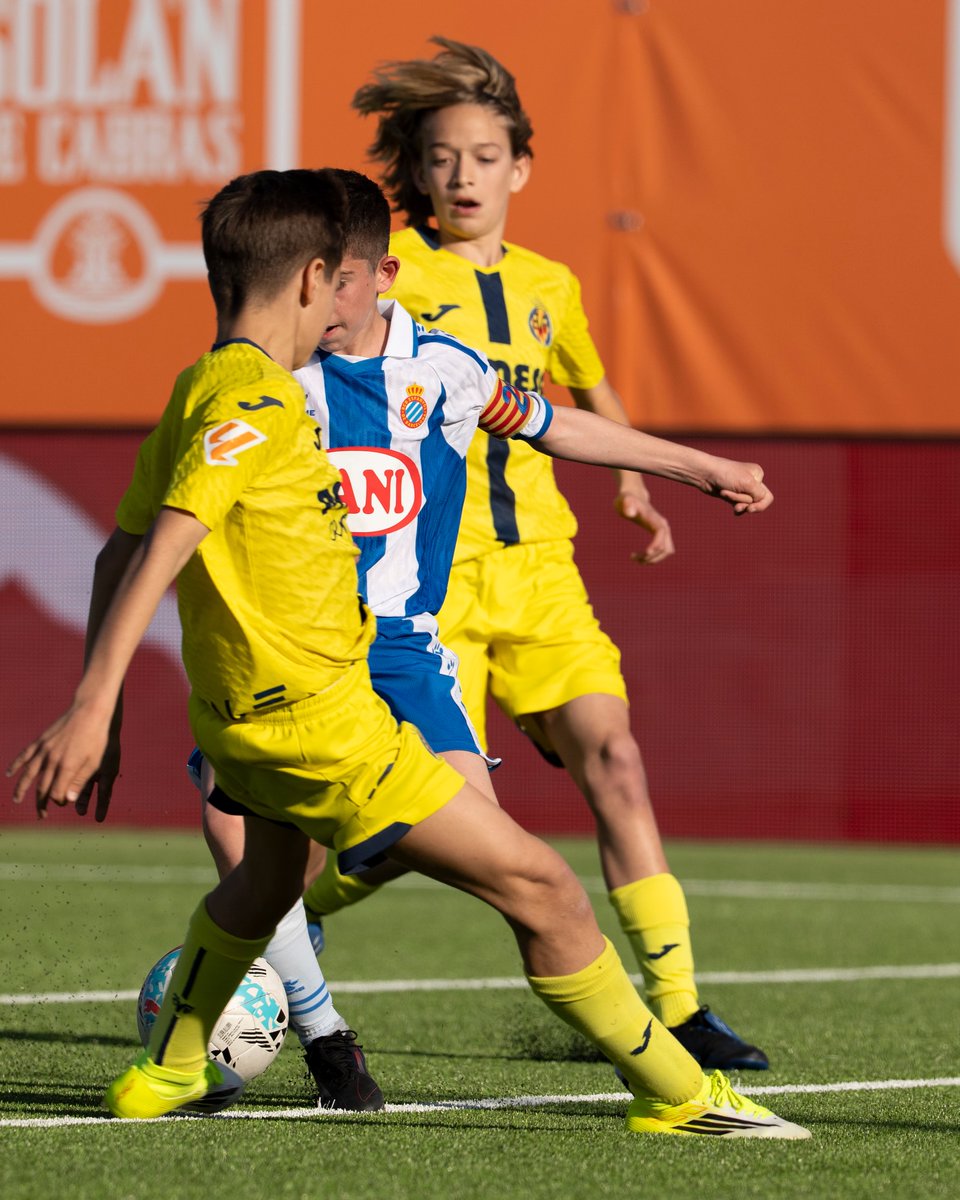 Valencia Base tweet media