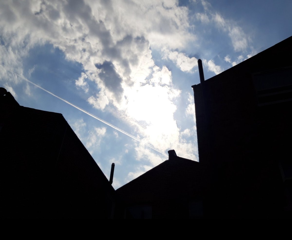 Tomorrow Never Knows tweet media