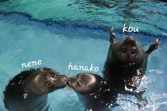 Violett ♡ tweet media