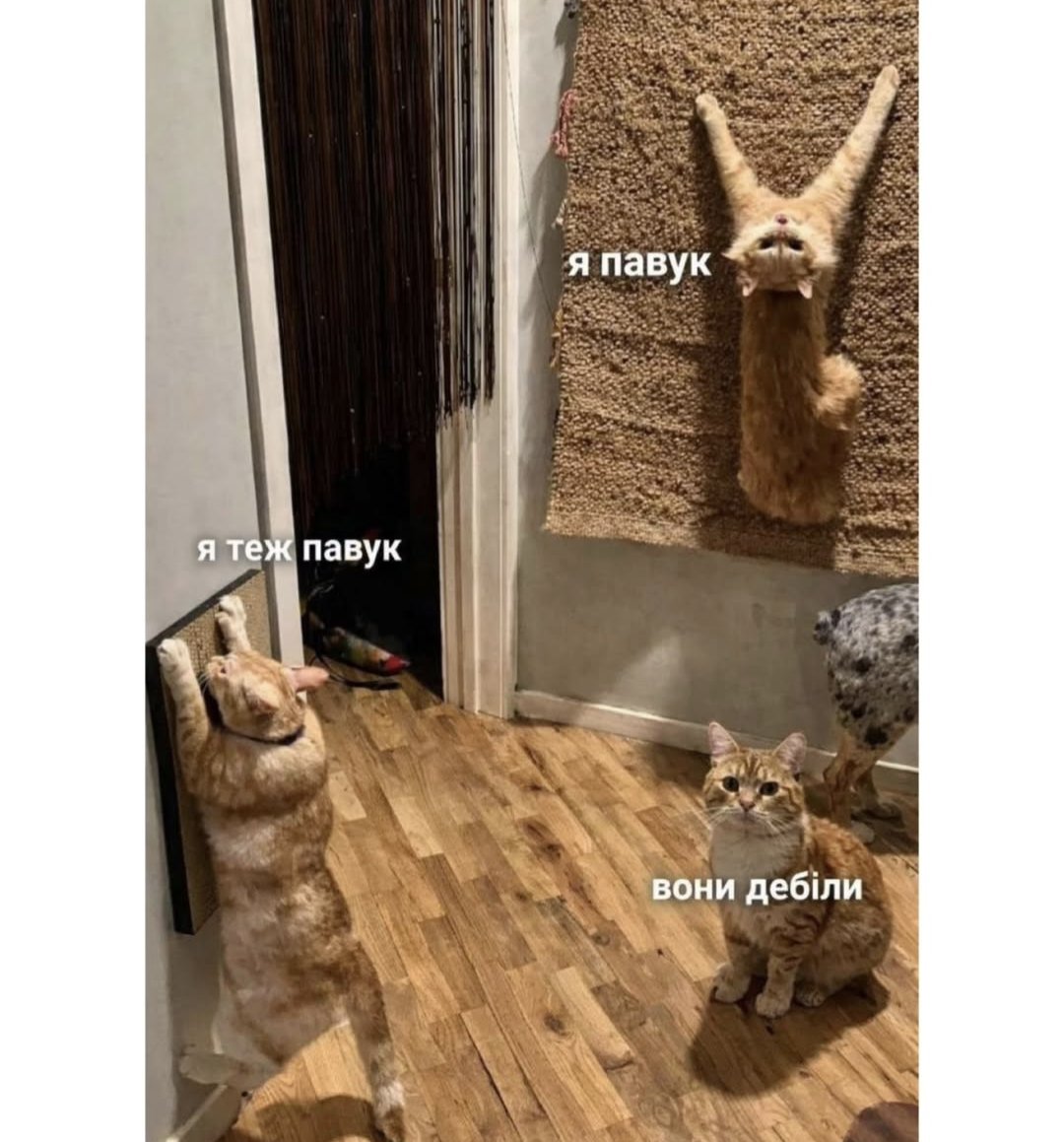 Radio Româneasca tweet media