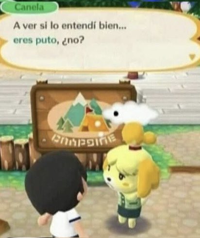 Canelita tweet media