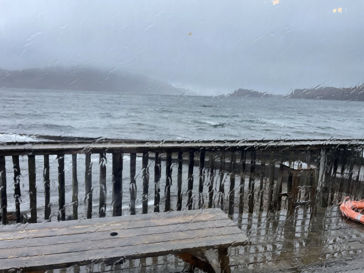 Knoydart tearoom tweet media