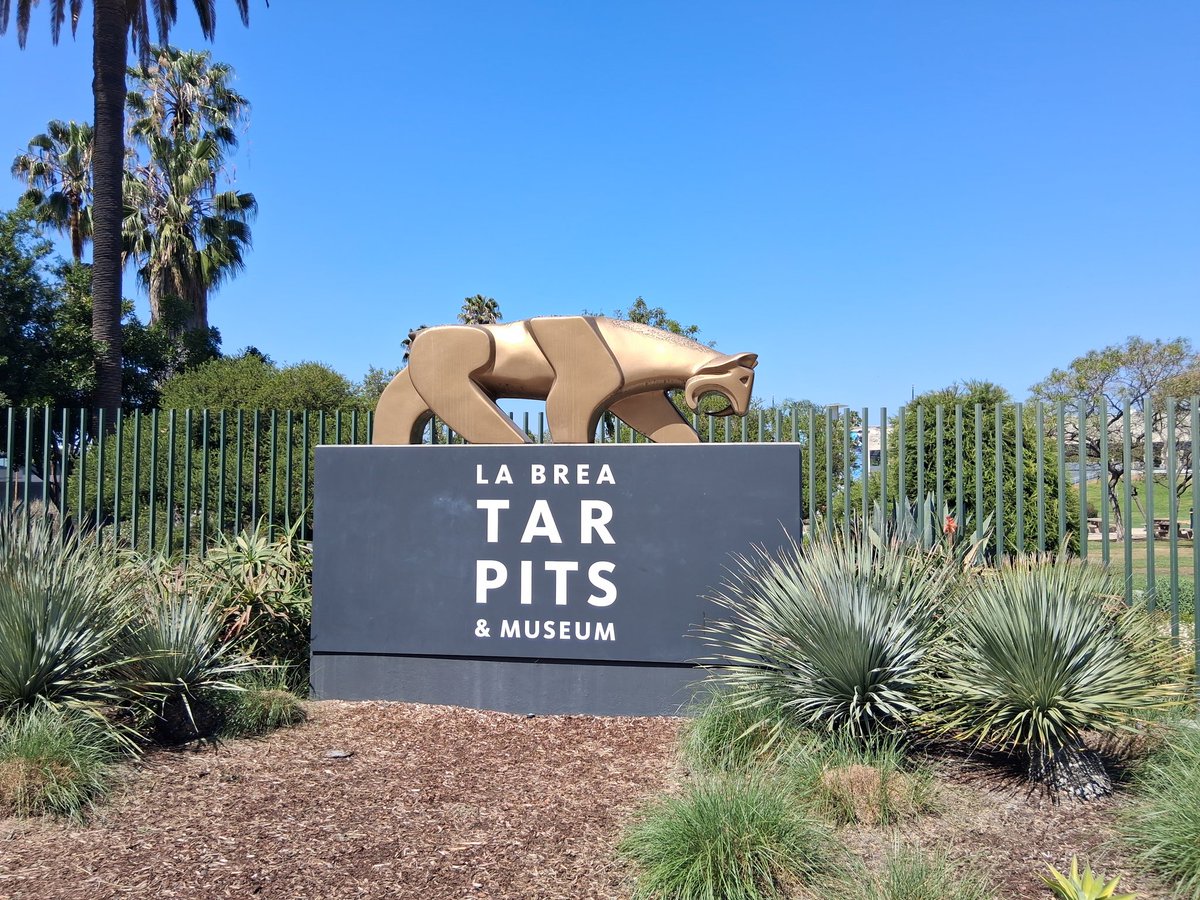 Craig Voss tweet media