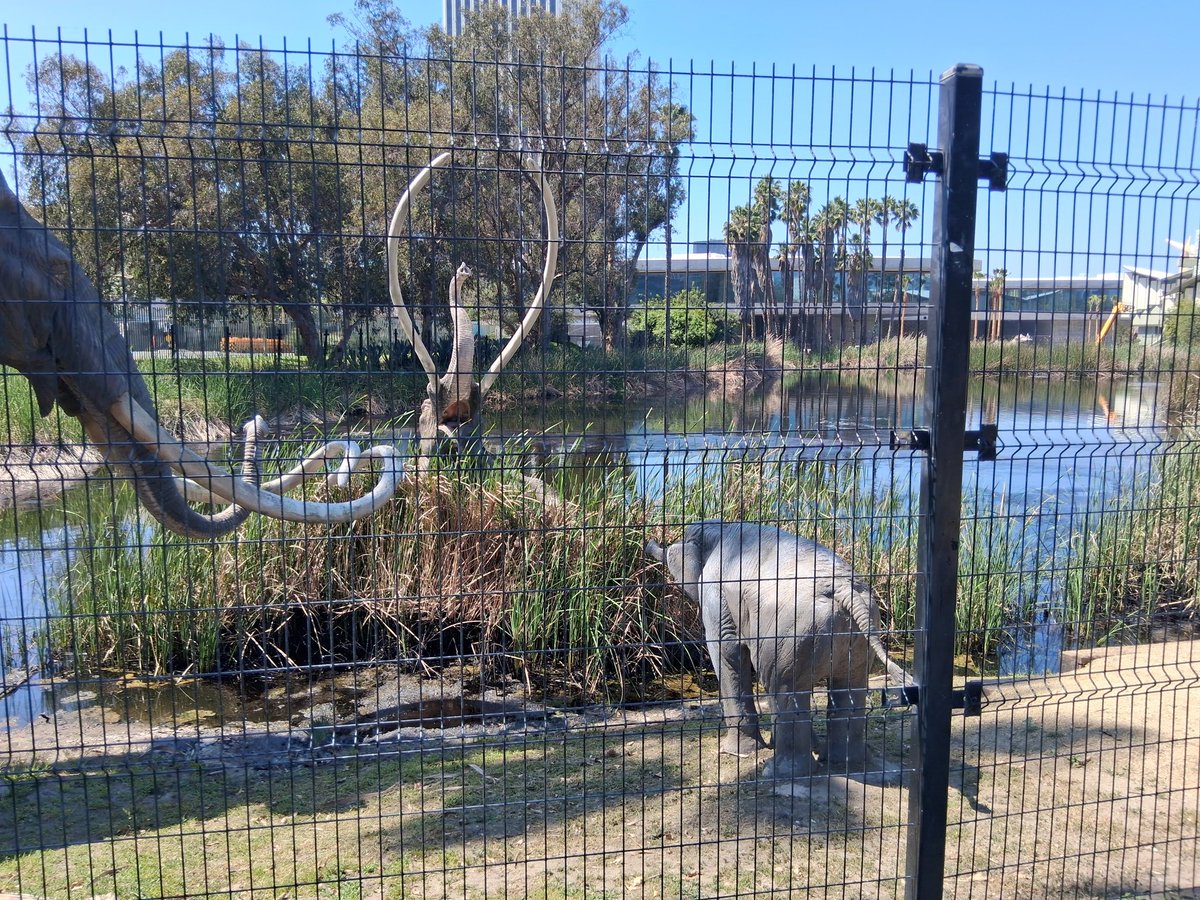 Craig Voss tweet media