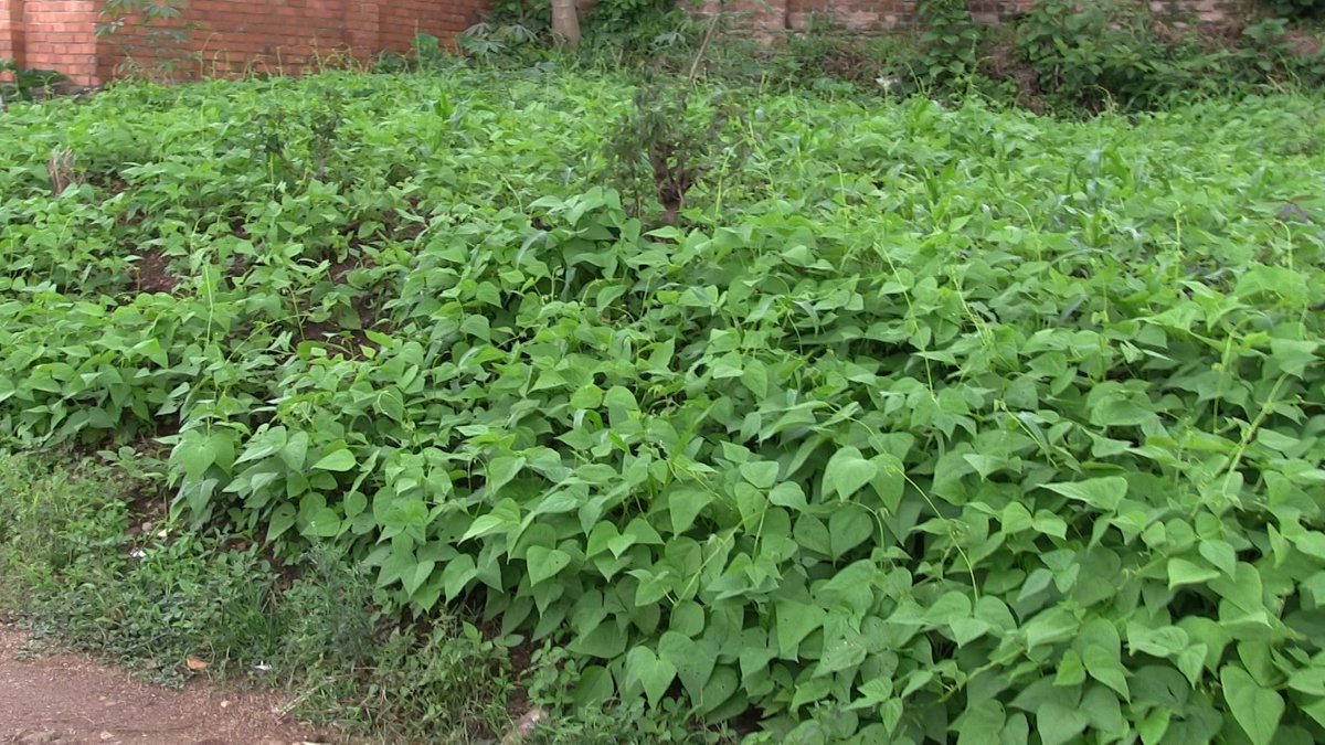 Eric BAGIRUWUBUSA tweet media