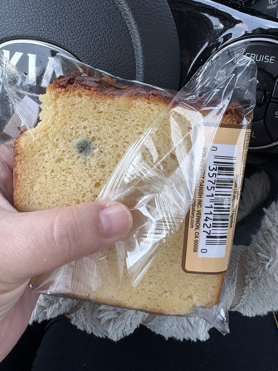 XPrincessLovett's tweet photo. @7eleven bought this cheesecake bread yesterday at my champions gate FL station only to open it and find it has mold. I wasn’t given a receipt. 😭 https://t.co/jDQYwgYmqA