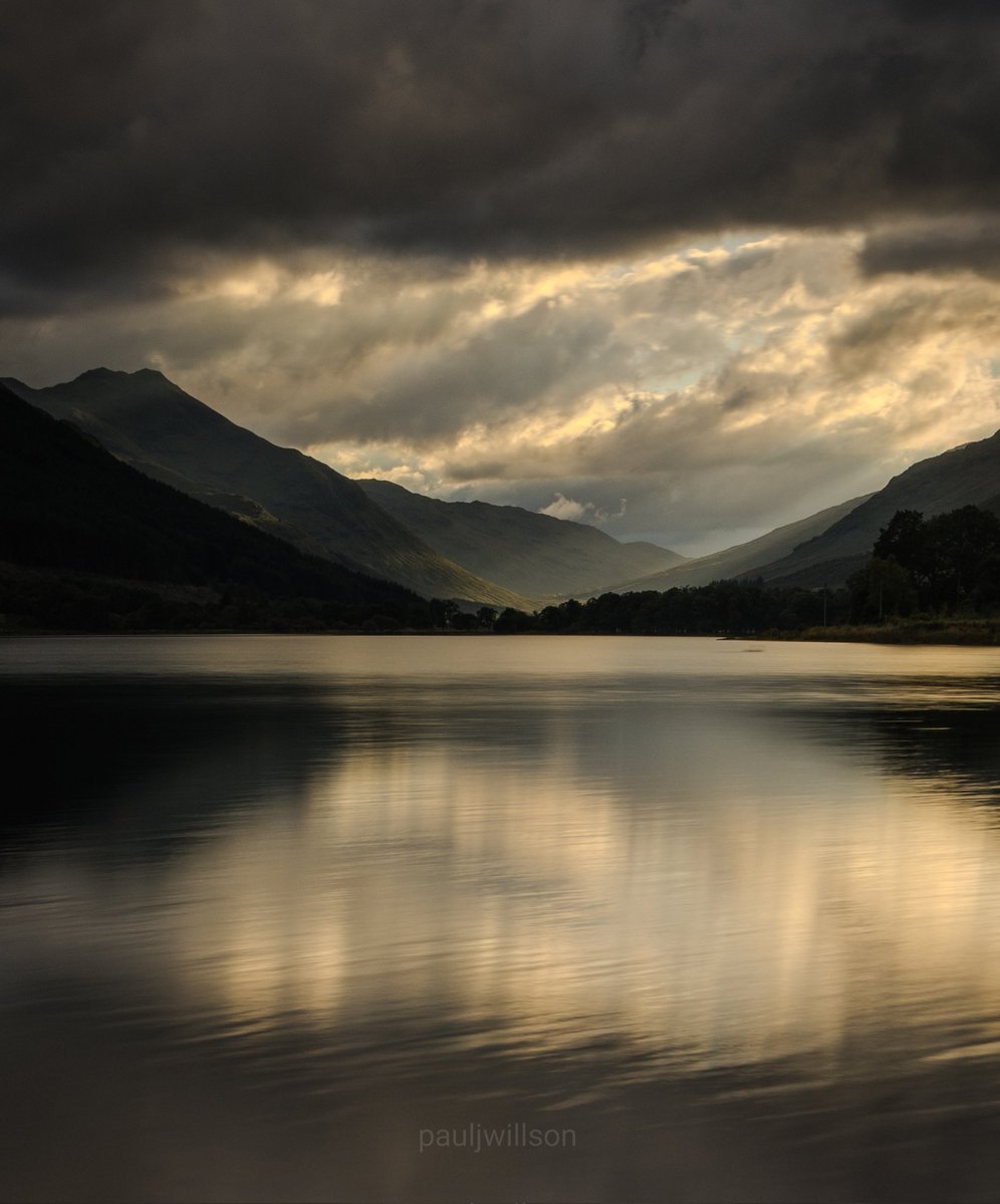 Paul Willson tweet media