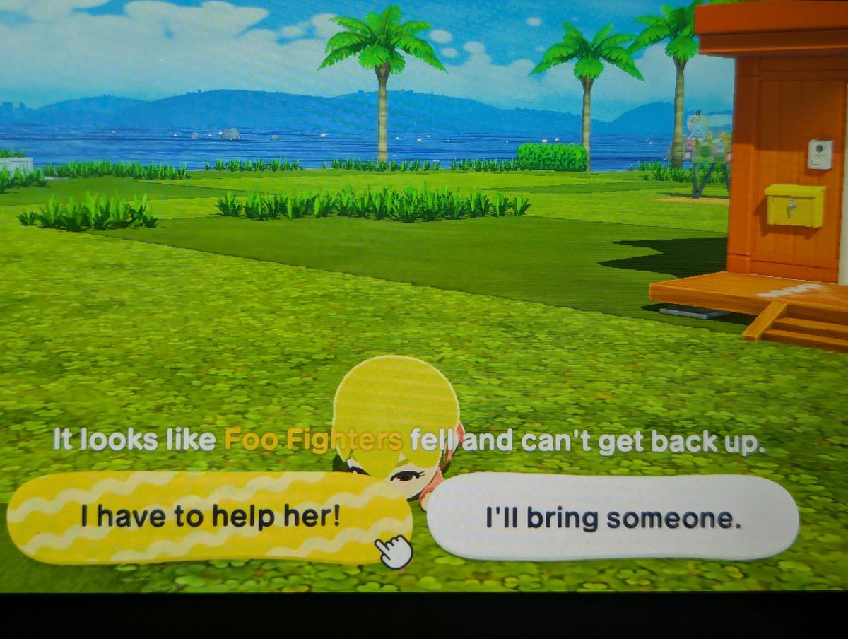 bull ⚢ tweet media