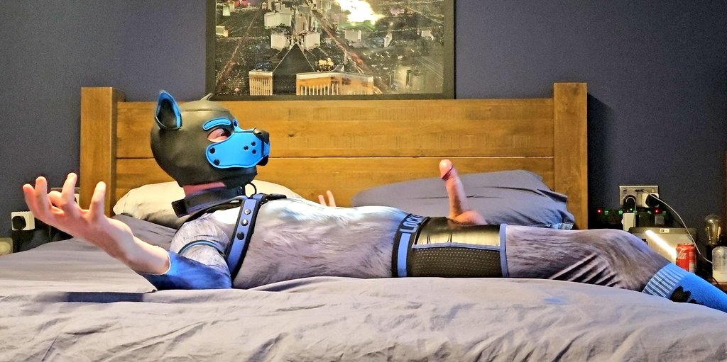 WoofThepup's tweet photo. This #hungalpha is ready for #humpday

Are you ready for this #alpha 

#cockyalpha #humpday #bigbentbone #pup #pupplay #hornypup #badmutt https://t.co/ae0VKOsLF7