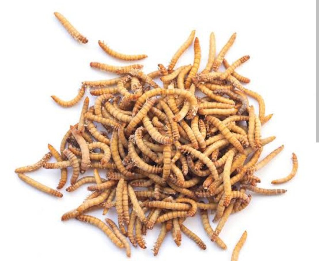 Isma Ramírez tweet media