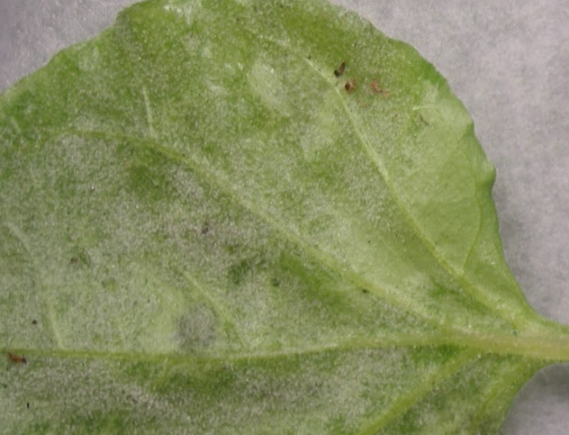 eventhorizon 🦙🌾🐮🚜🏡 tweet media