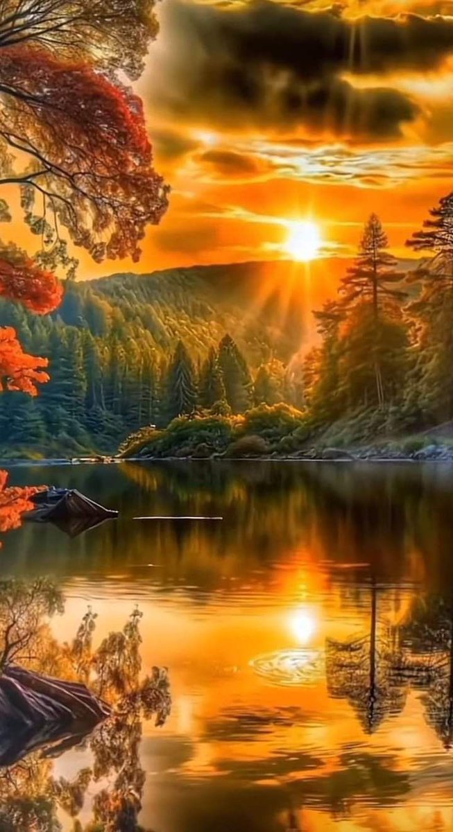 floriano tweet media