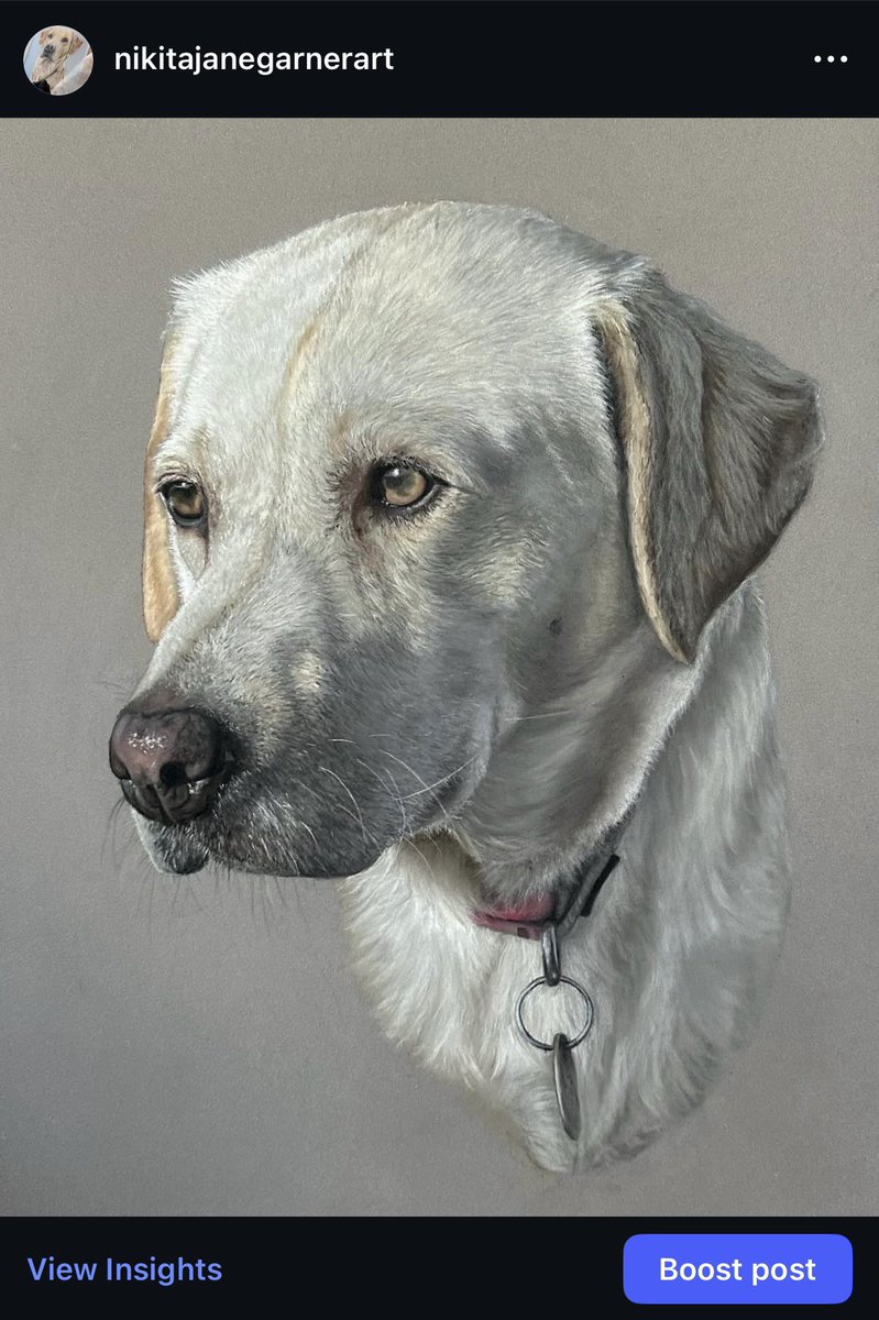 Nikita Jane Garner tweet media