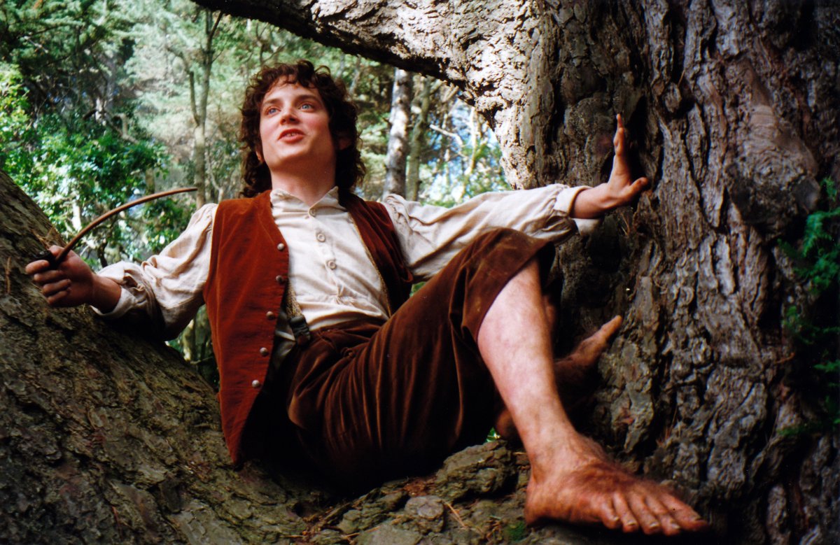 “It’s a dangerous business, Frodo, going out your door. You step onto ...