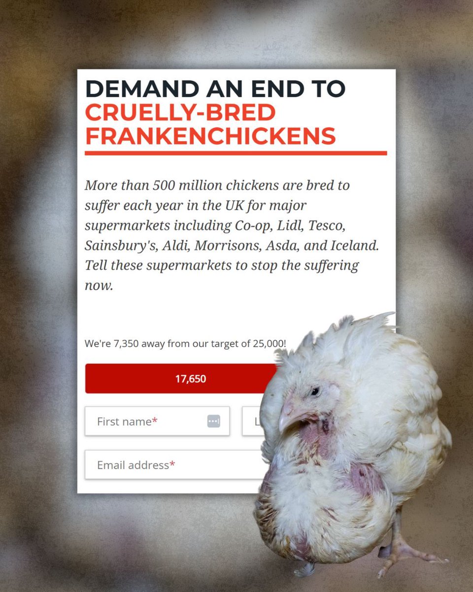 Dale Vince tweet media