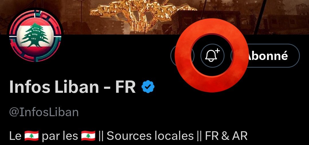 Infos Liban - FR tweet media