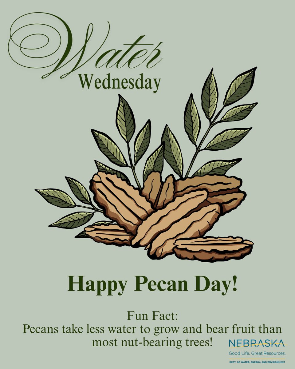 DWEE, Nebraska tweet media