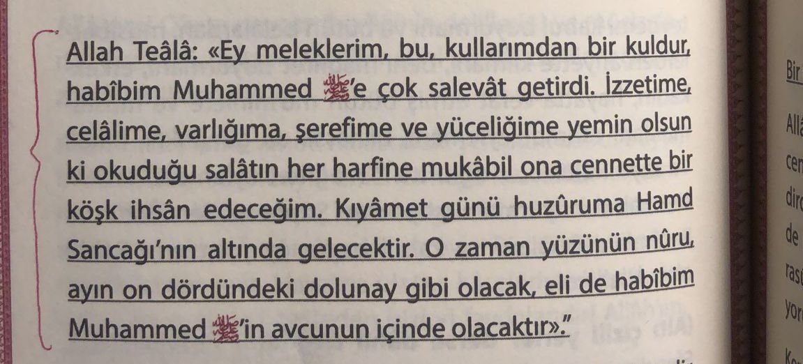 ayşe taçar tweet media