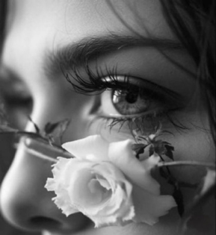 سـيّدةُ الشعـور tweet media