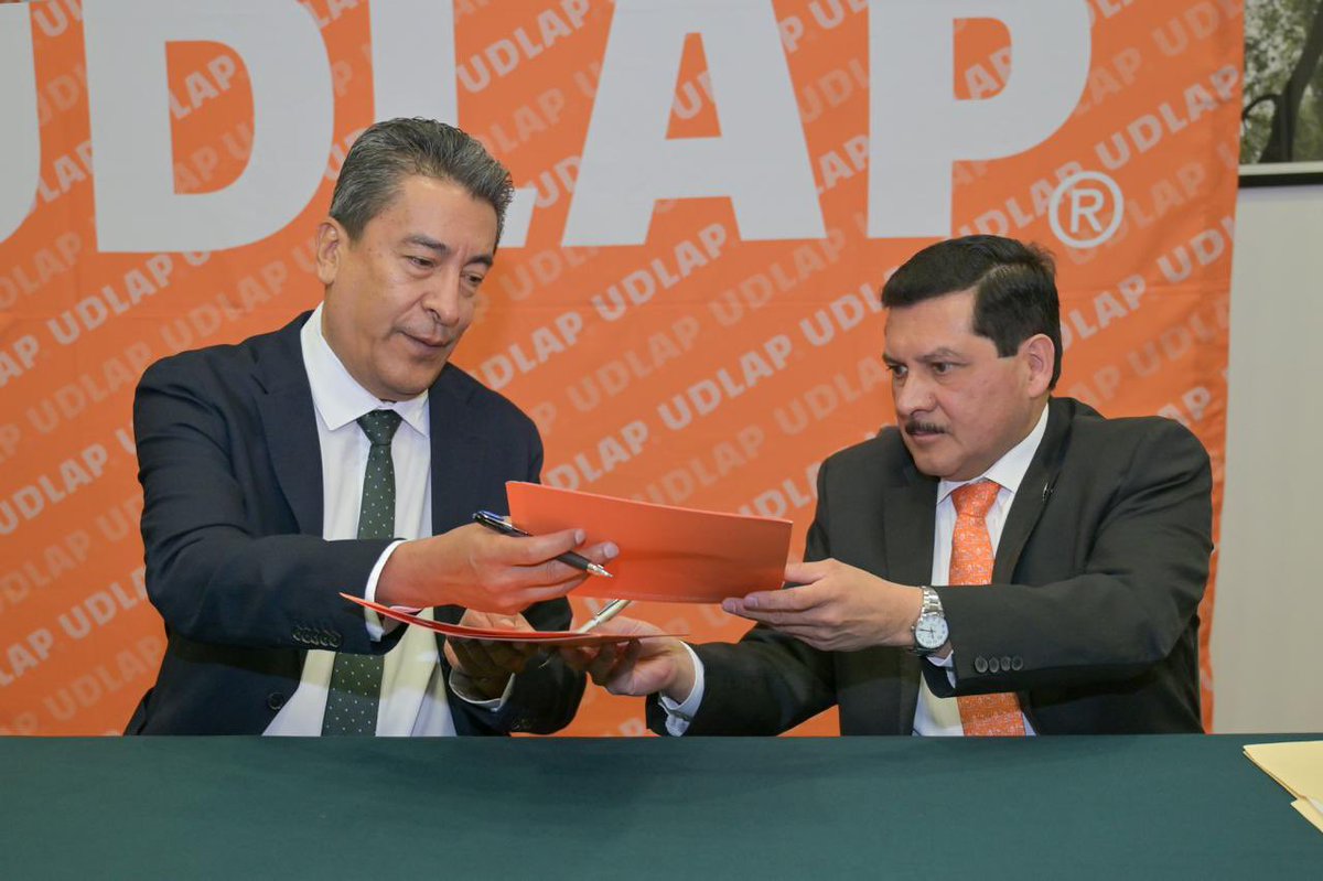 INSP México tweet media