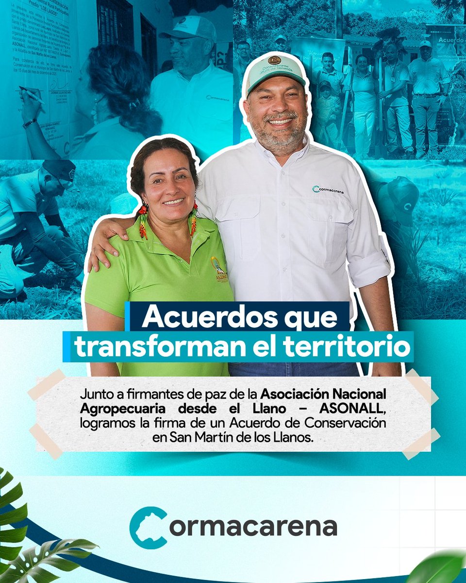 Cormacarena tweet media