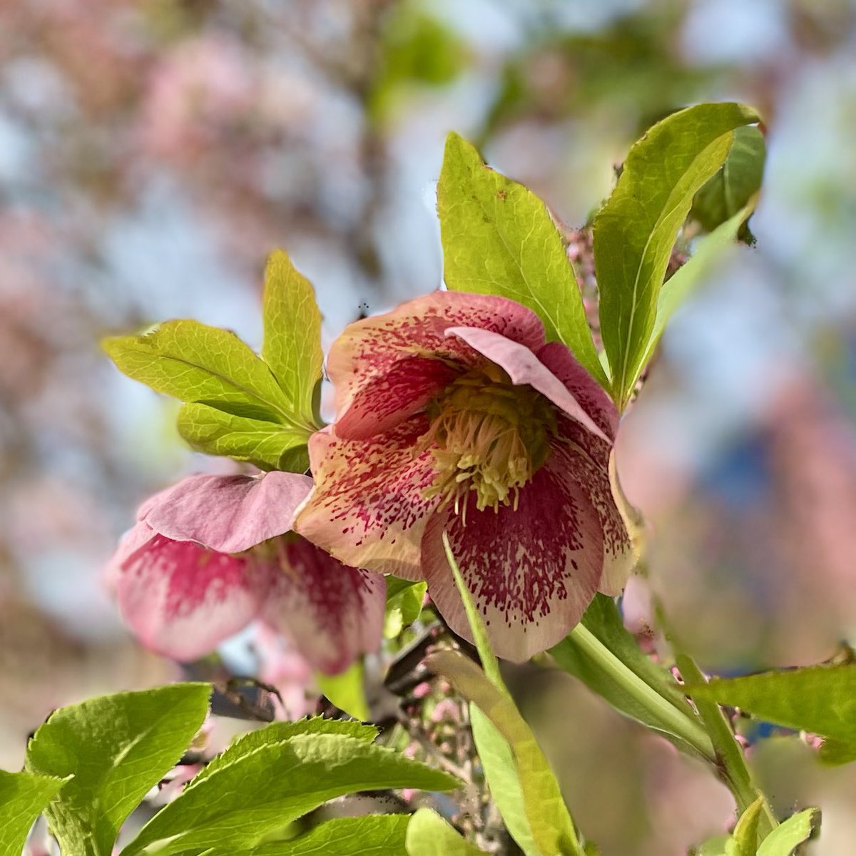 ゆう爺ちゃん tweet media